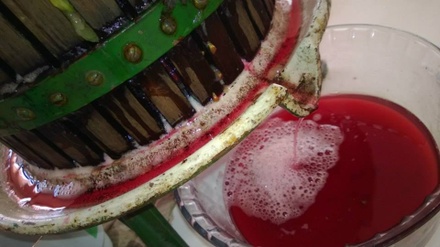 szüreti játszóház 2013